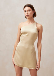 Stevie Dress